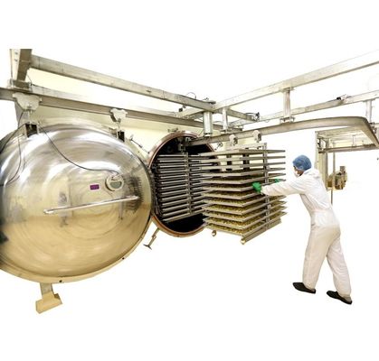 machine de lyophilisation 1000kg