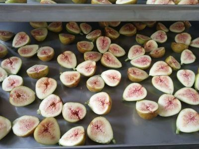 Machine de fruit lyophilisée industrielle d'acier inoxydable de vide