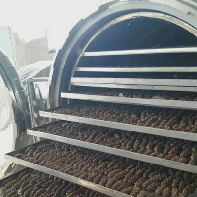 Machine de fruit lyophilisée industrielle d'acier inoxydable de vide
