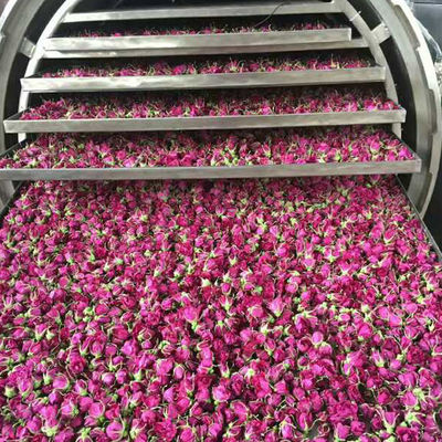 Machine de fruit lyophilisée industrielle d'acier inoxydable de vide